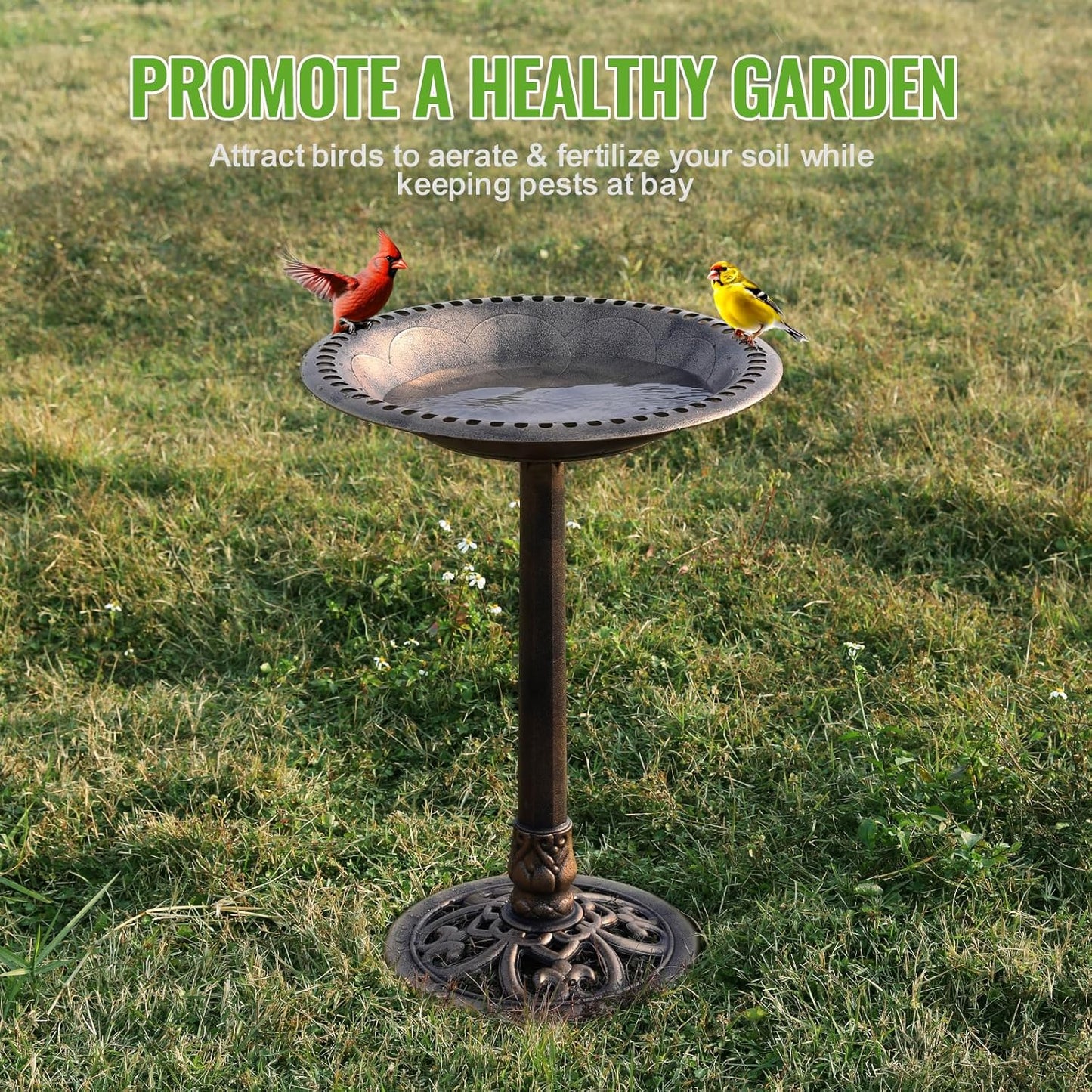 Backyard Expressions Outdoor Garden Bird Bath - Bronze - Weather Resistant Polyresin - 27 Inch