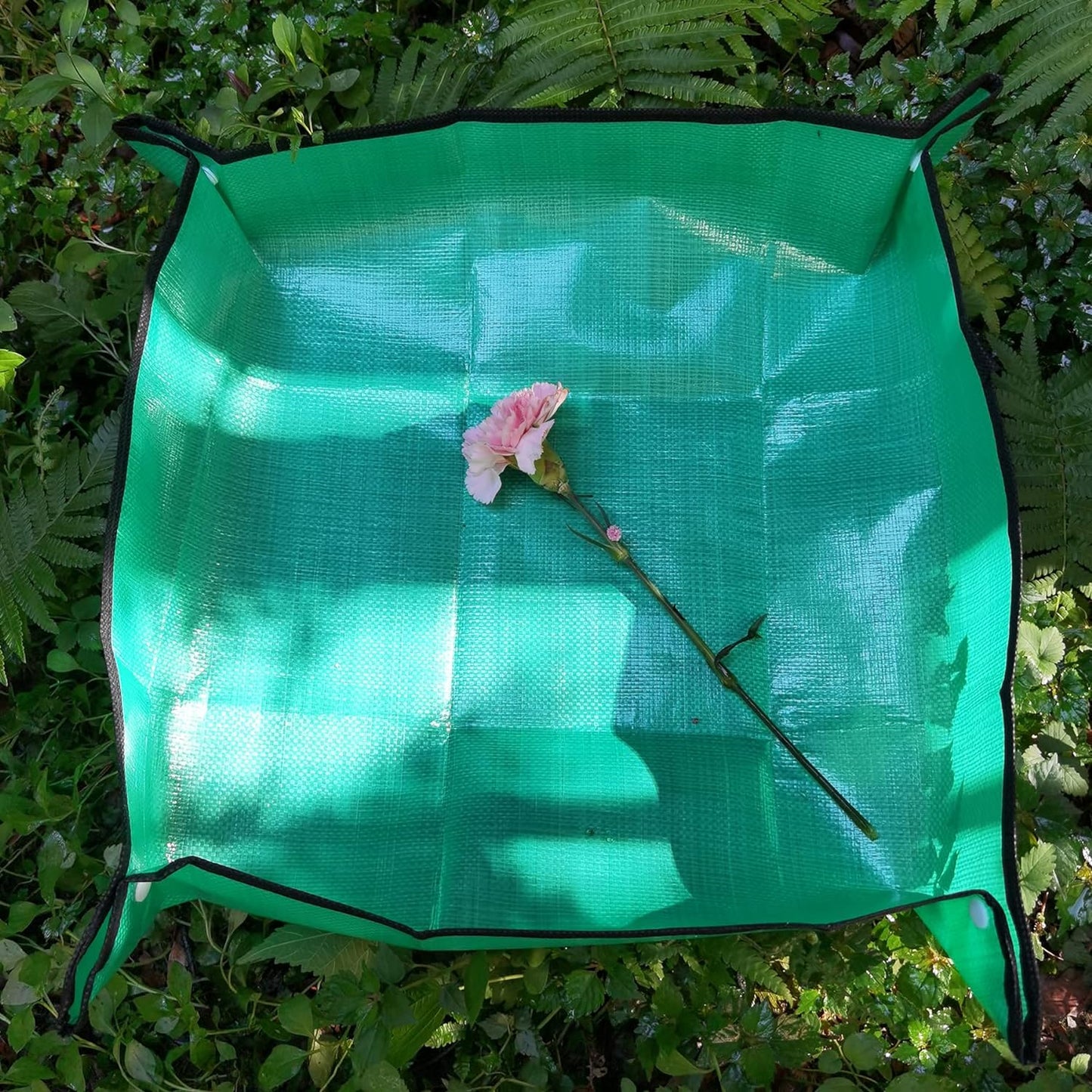 Butterfly Habitat with Poo Platter, Cage with Poo Mat, Monarch Butterfly Cage 24 Inches Tall