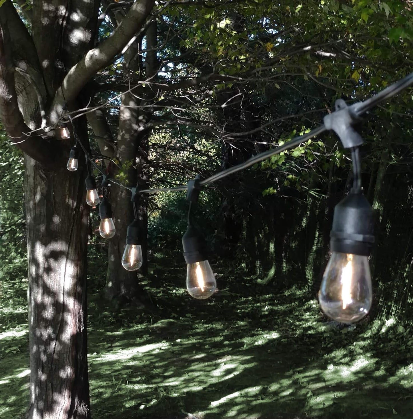 Hometown Evolution, Inc. 50 Foot E26 LED Outdoor Commercial String Lights with 25 Suspended Sockets and S14 LED Filament 1 Watt Bulbs
