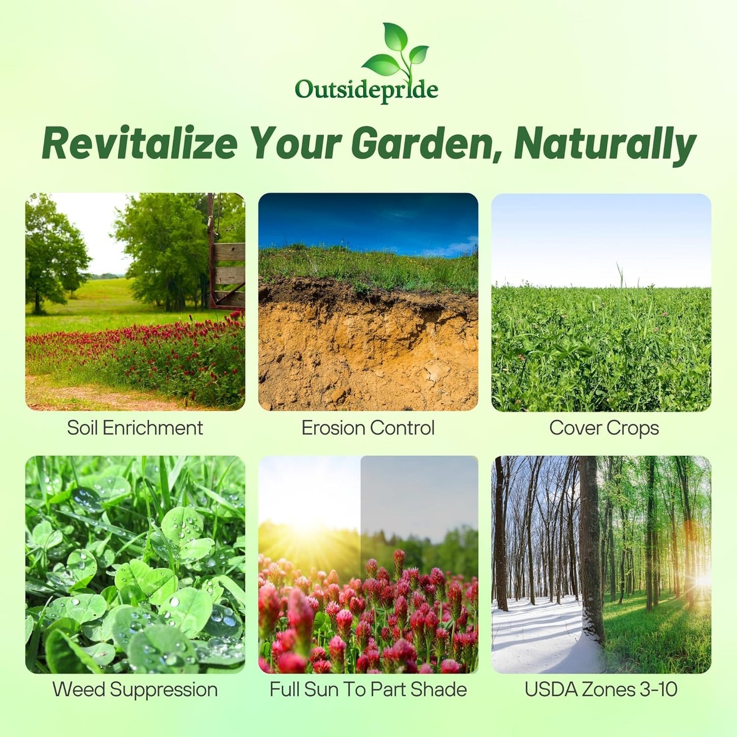 Outsidepride Gardenway Cover Crop Seeds - 25 lbs Nutrient-Rich Seed Mix for Soil Health Improvement & Home Gardens - Mixture of Triticale, Peas, Oats, Vetch, Annual Ryegrass, Crimson Clover