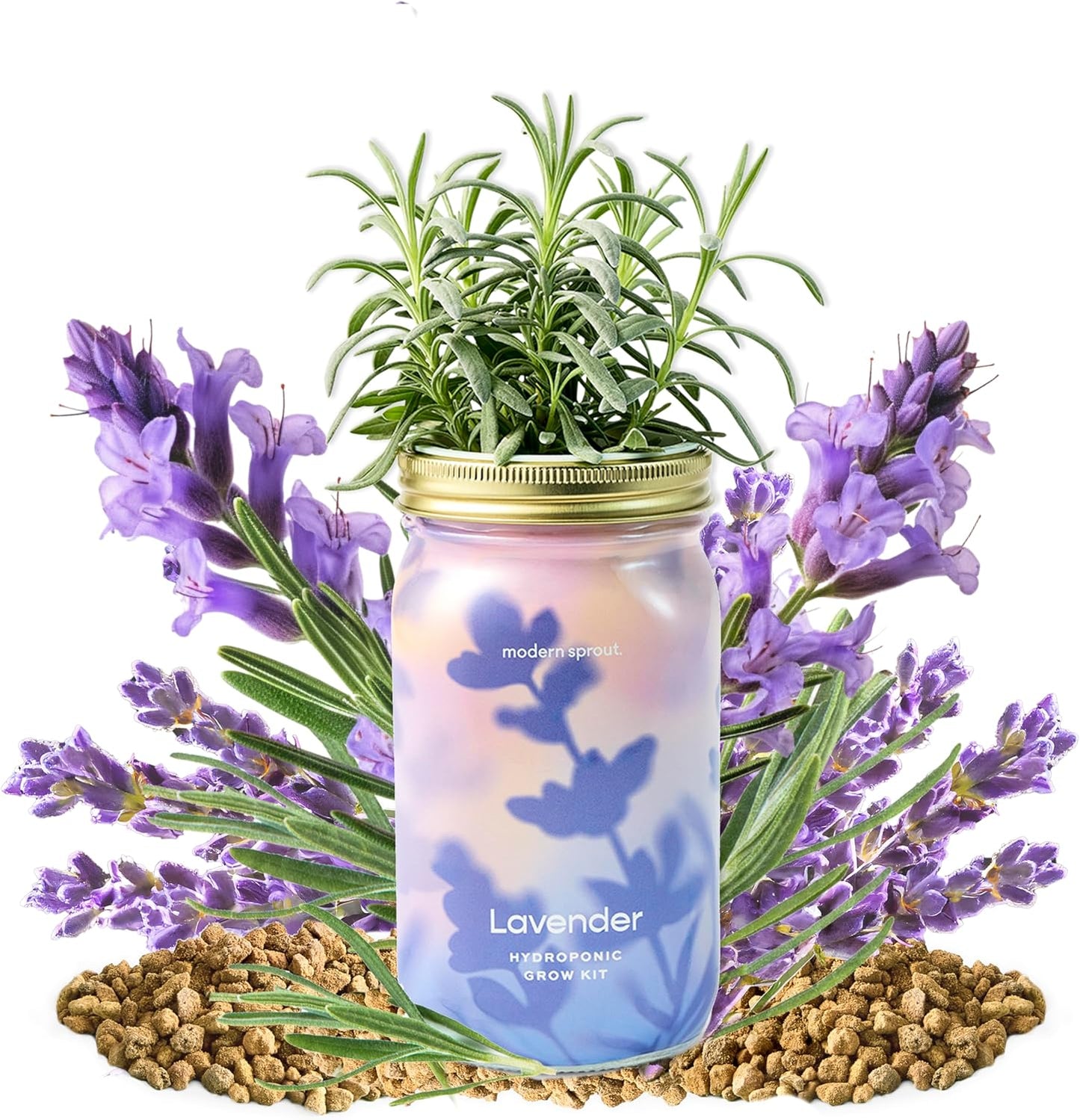 Modern Sprout Mason Garden Jar - Self-Watering Hydroponics Growing System Kit with Organic Herb Seeds - Jar Planter for Indoor Herb Garden - Seed Starter Kit - Home Decor & Gifting - Lavender