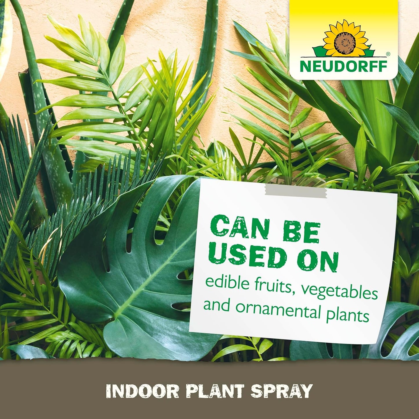 Indoor Plant Spray for House Plants & Greenhouse, Kills Spider Mites, and Scale and 100+ Listed Insects on Contact for Organic Gardening, Contact Insecticide, Ovicide (32 oz)