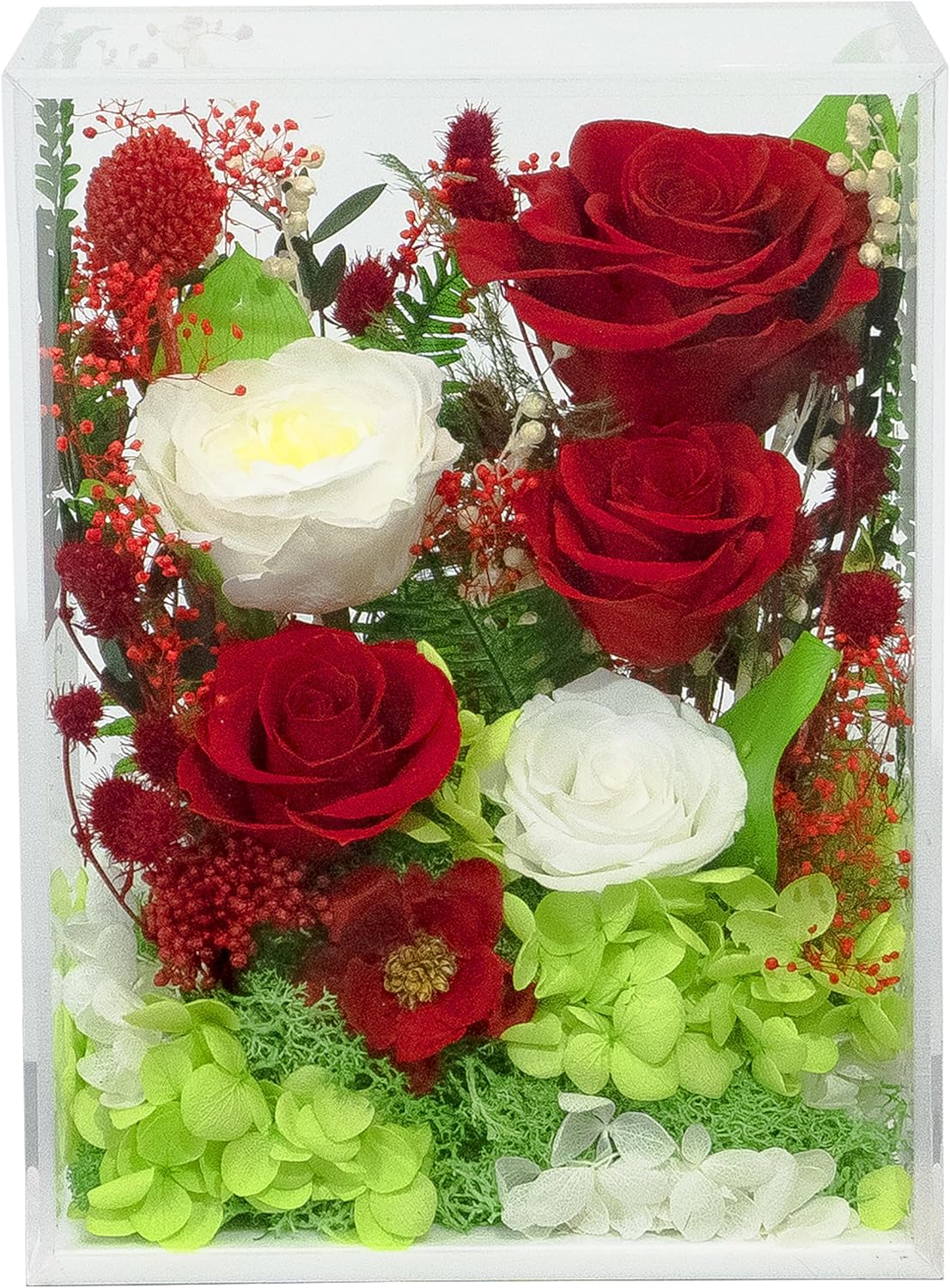 Valley of Rain & Forest Long-Lasting Real Flowers, Handcrafted Preserved Rose Bush For you to Send Love for All Occasions, Floral Arrangement for Indoor Decoration (Red White Roses Arrangement)