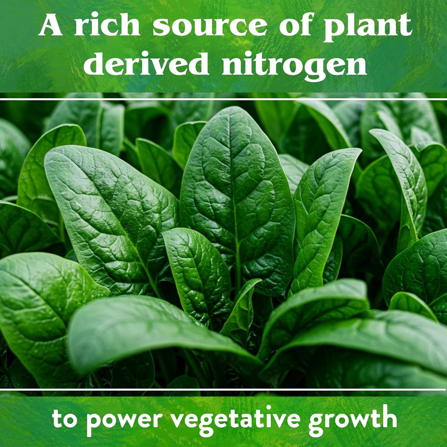 Down To Earth All Natural Fertilizers Organic Neem Seed Meal, Plant Food for Vegetable Gardens and Raised Beds 6-1-2, 5 lb