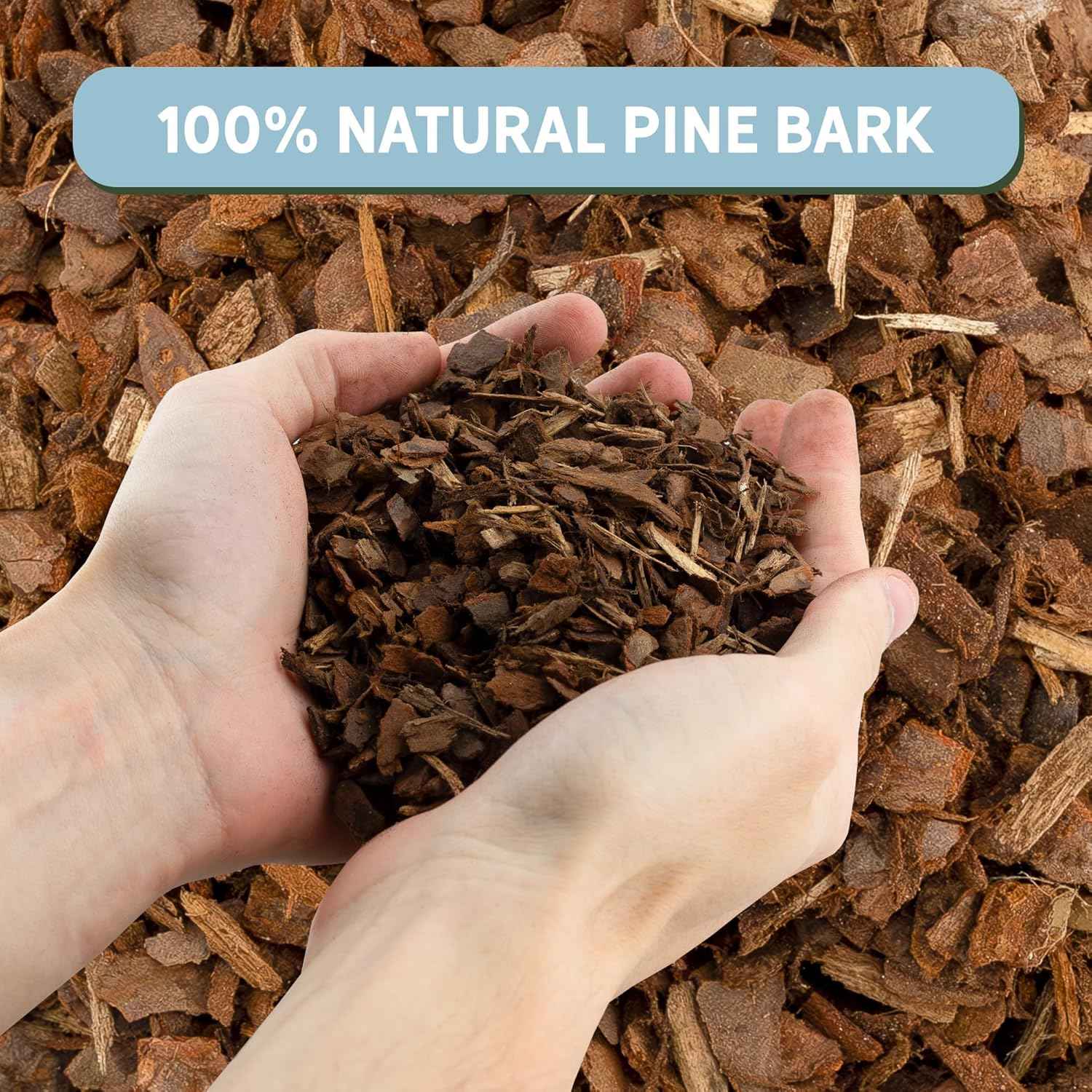 100% Organic Material All Natural Orchid Bark (4 Quarts), USA Sourced and Produced Orchid Bark Potting Mix, Orchid Potting Bark Bulk
