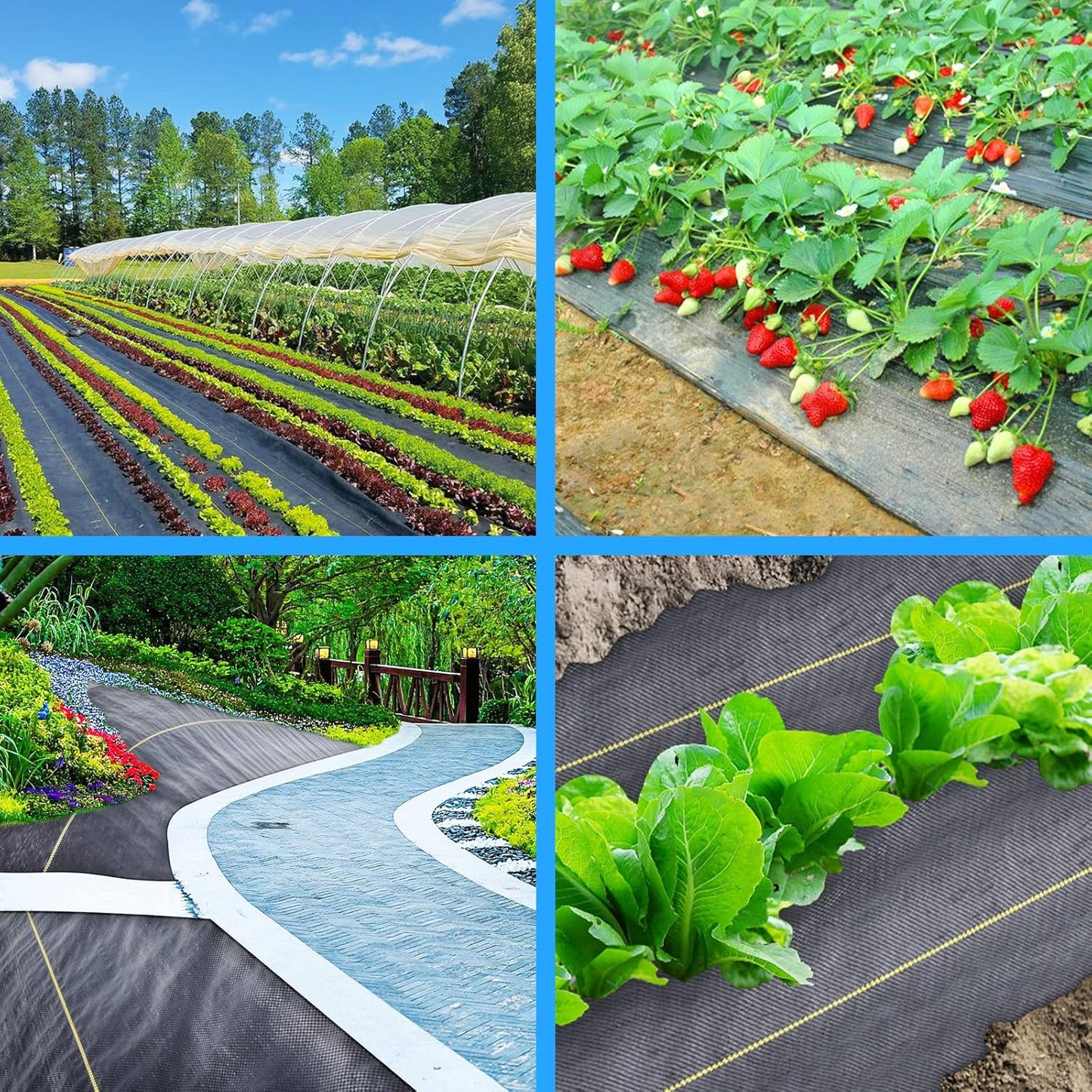 5ft x300ft Black Weed Barrier Landscape Premium Fabric Heavy-Duty Woven Ground Cloth with Superior Permeability Weed Control Convenient Design